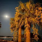מלון Cunda Panorama