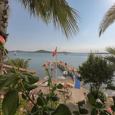 Cunda Panorama Аявали
