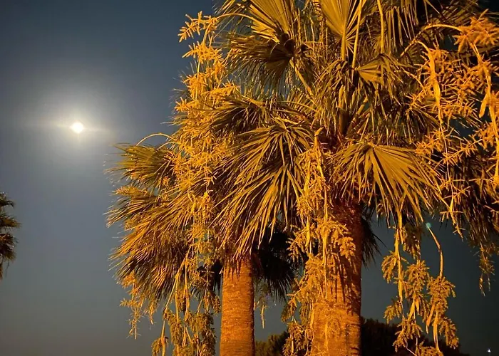 Szálloda Cunda Panorama