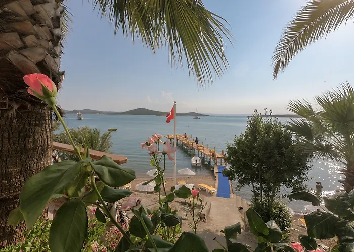 Cunda Panorama Ayvalı